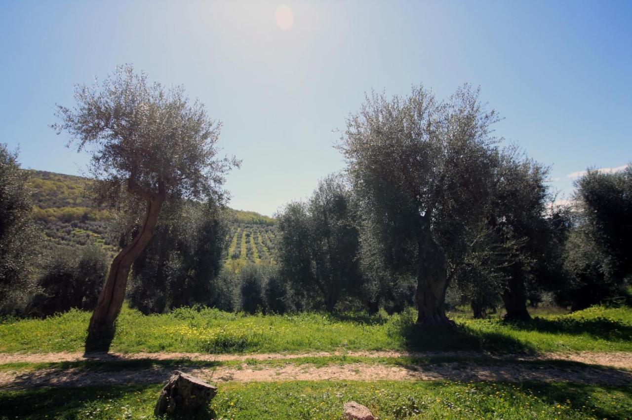 Masseria Procacci Ischitella Dış mekan fotoğraf