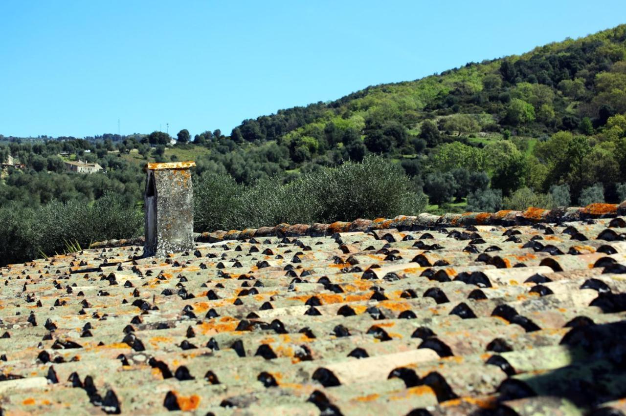 Masseria Procacci Ischitella Dış mekan fotoğraf