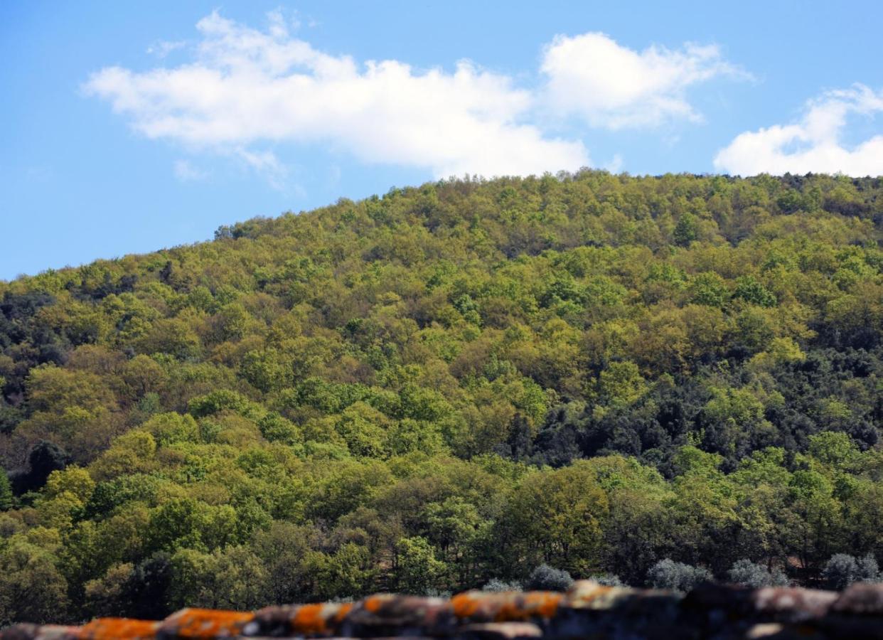 Masseria Procacci Ischitella Dış mekan fotoğraf